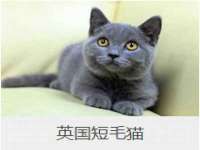 泉山区攀登调味品商行