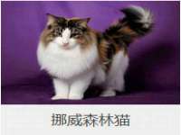 泉山区攀登调味品商行