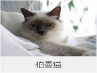 泉山区攀登调味品商行