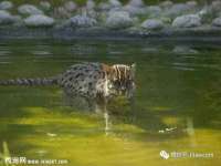 泉山区攀登调味品商行