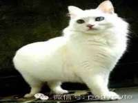 泉山区攀登调味品商行