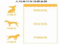 泉山区攀登调味品商行