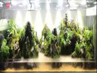 泉山区攀登调味品商行