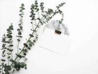 泉山区攀登调味品商行