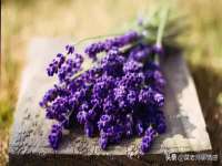 泉山区攀登调味品商行