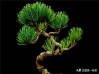 泉山区攀登调味品商行